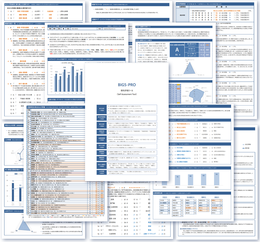 BIG5-PROレポートサンプル